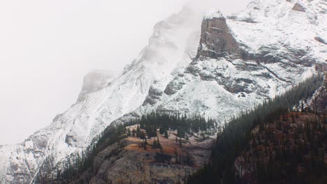 ladera de la montaña con nieve y pinos