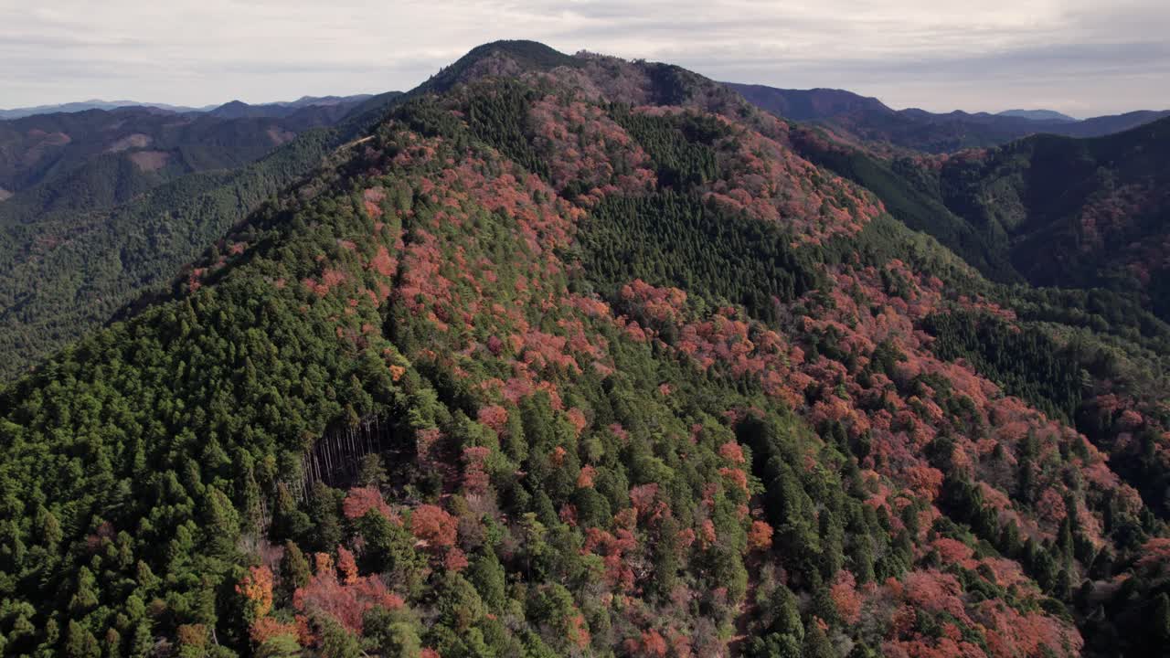 케이호쿠 산림 풍경, 공중 비행 일본 가을 스카이 라인 지평선 배경, 북 키오토 자연 환경