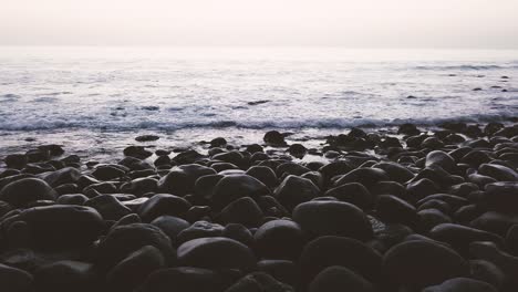 Cinematic-View-Of-Atlantic-Ocean-On-A-Sunset-At-The-Volcanic-Black-Pebble-Rocky-Coast-Of-Paul-do-Mar-In-Madeira-Island,-Portugal---pullback-drone,-low-level-shot