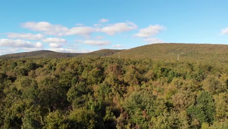 vuelo aéreo hacia atrás sobre el bosque a través de la torre de transmisión, estambul, turquía