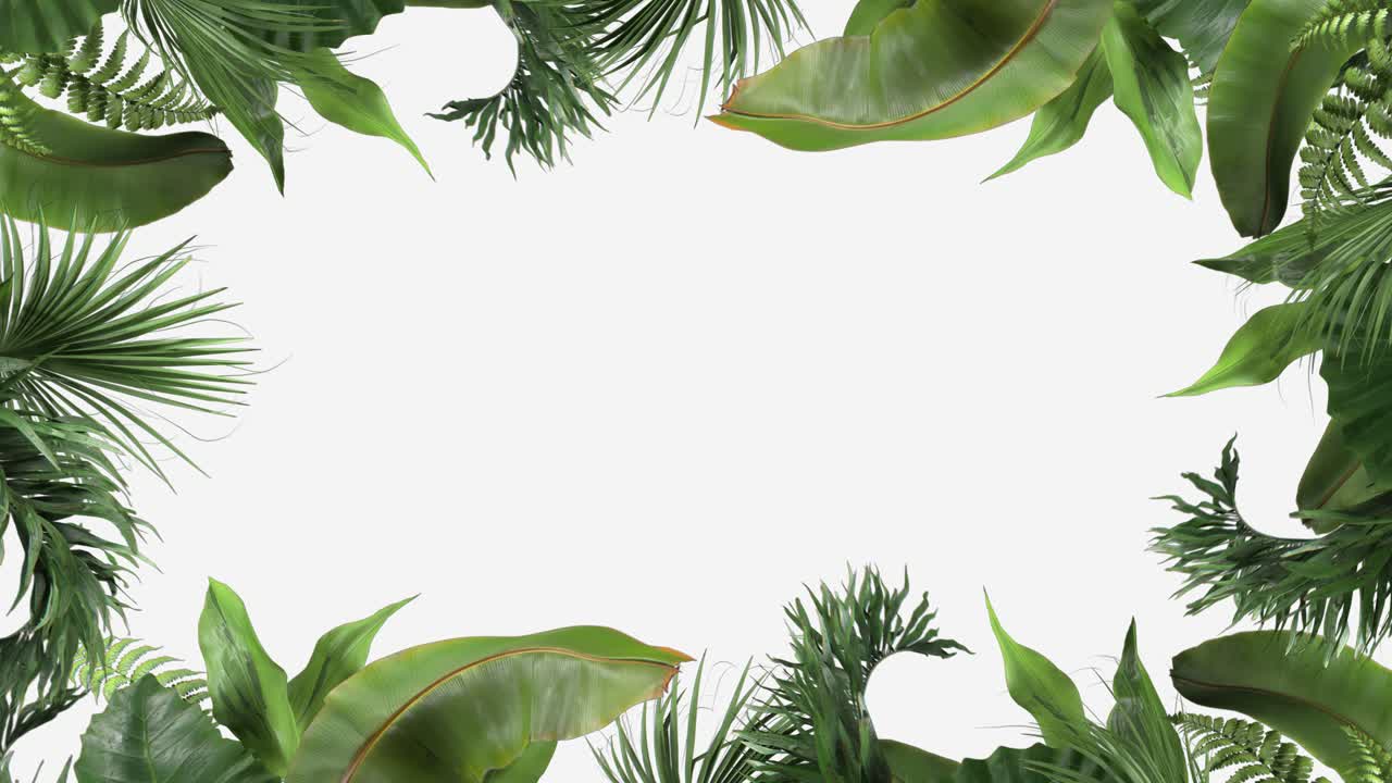Frame from tropical plants moving in the wind in a loop animation on a white background