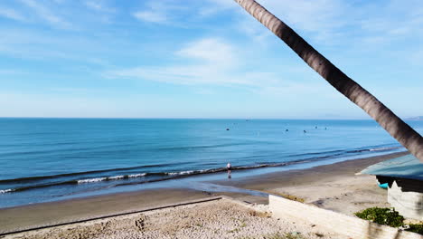 Palm-tree-on-tropical-beach-in-Mui-Ne,-Vietnam-,-aerial