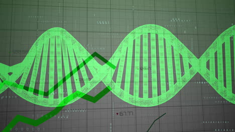 Animación-De-La-Cadena-De-ADN-Durante-El-Procesamiento-De-Datos.