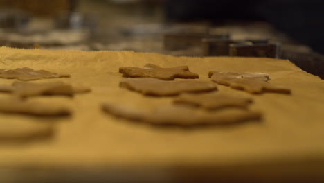 cut out gingerbread cookies on baking paper