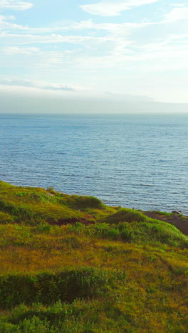 coastal scenery with grassy hills and ocean view