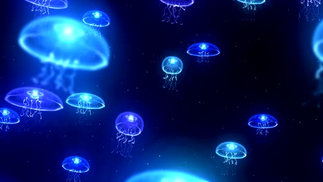 jellyfish illuminated with color light in the underwater, cg animation, loop