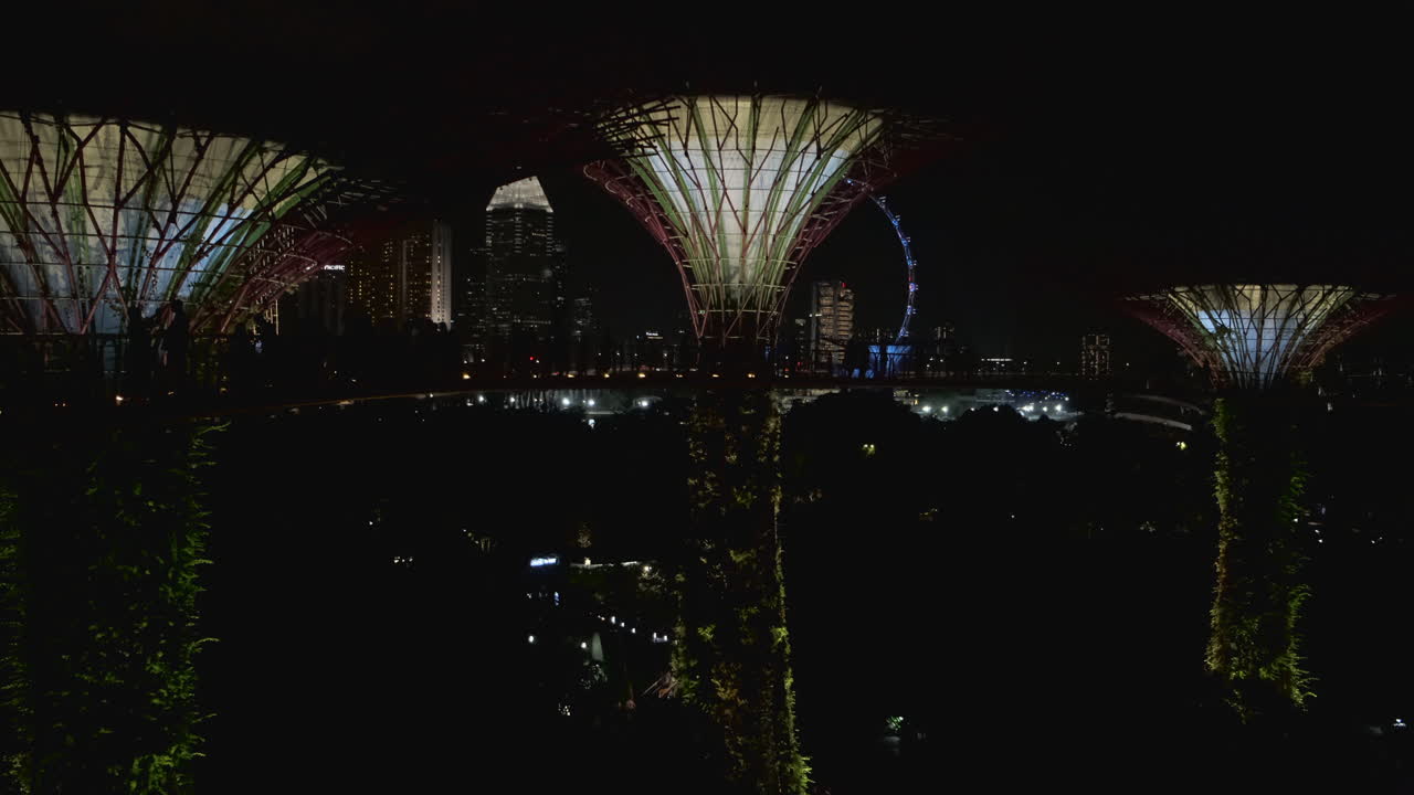 Night View of the Supertrees at Garden by the Bay in Singapore