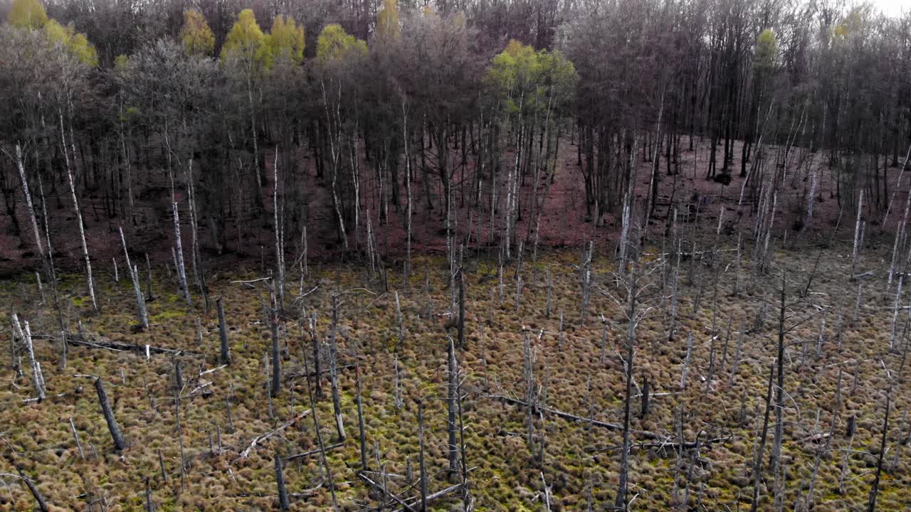 폴란드 루블레보 (lublewo) 에 있는 버 산 보호구역