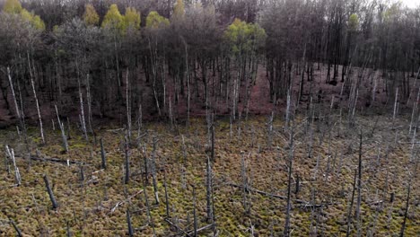 Santuario-De-La-Montaña-De-ámbar-En-Lublewo-Gdańskie,-Polonia