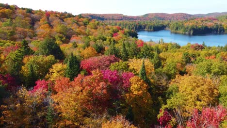 aerial panoramic drone view above autumn forest landscape in quebec montreal