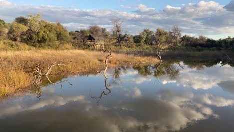 handheld shot of pond in african savannah with reflections of dramatic sky