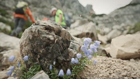 hikers climbing on a mountain wearing bright clothes