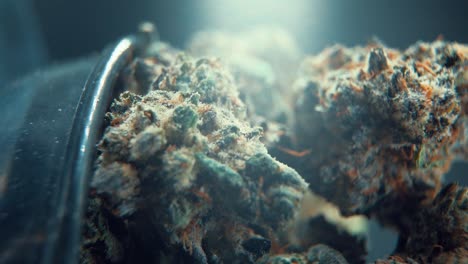una toma cinemática macro vertical detallada de una planta de cannabis, variedades híbridas de naranja, hoja verde indica, flor de marihuana, en un soporte giratorio 360, full hd, super cámara lenta, 120 fps, iluminación de estudio