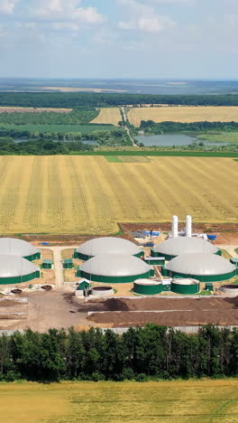 renewable energy sources from biomass