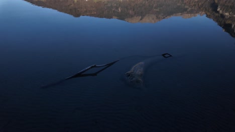 Tree driftwood underwater wood discarded Walensee lake Walen mountains reflection