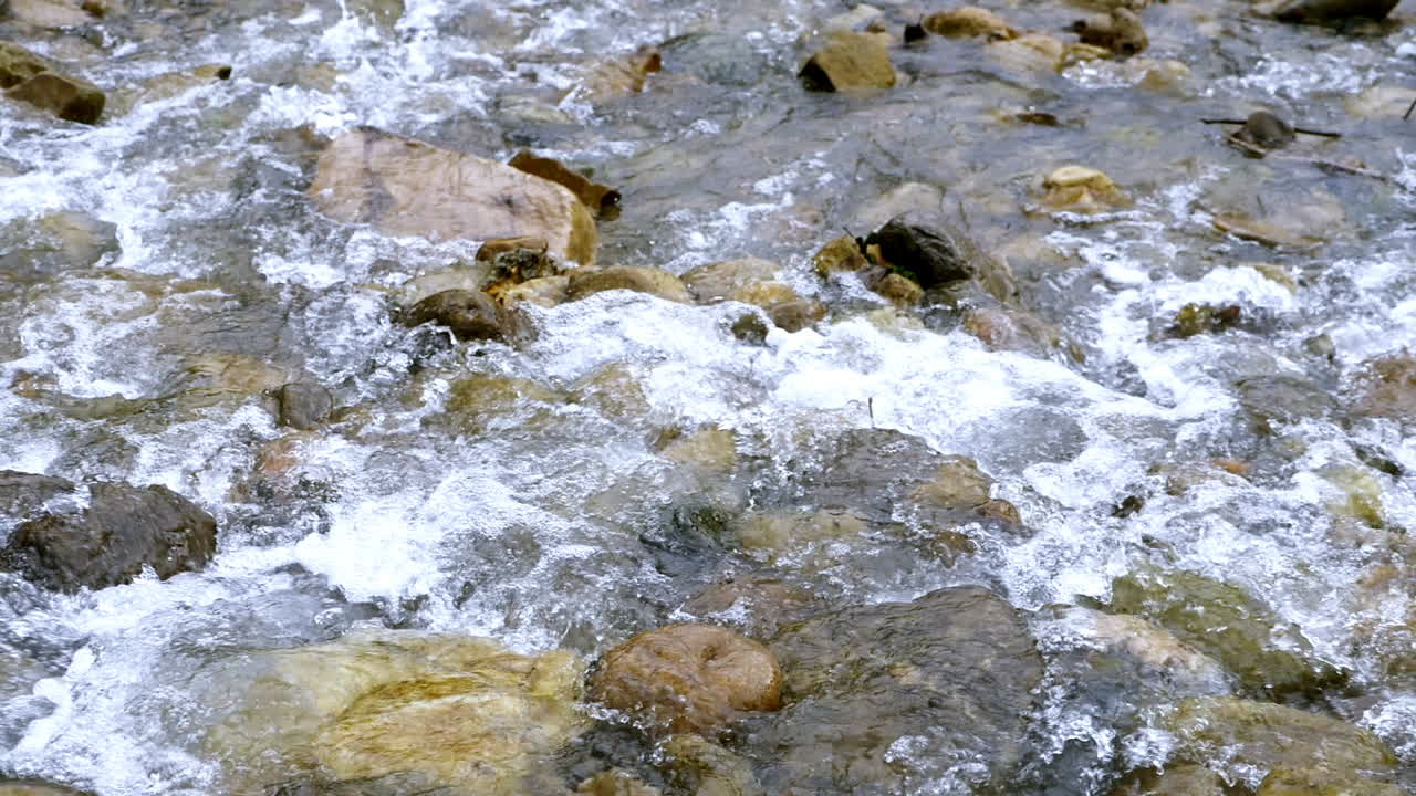 Ruscello limpido che scorre tra massi di pietra. Fiume copioso che scorre al rallentatore.