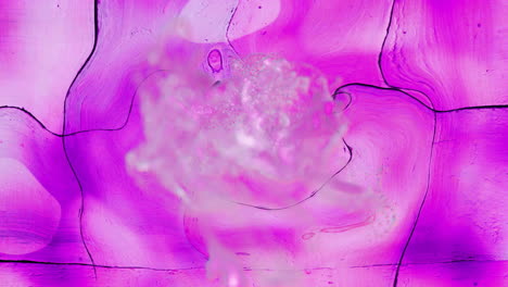 abstract pink and purple animation with swirling patterns and cloud-like shapes