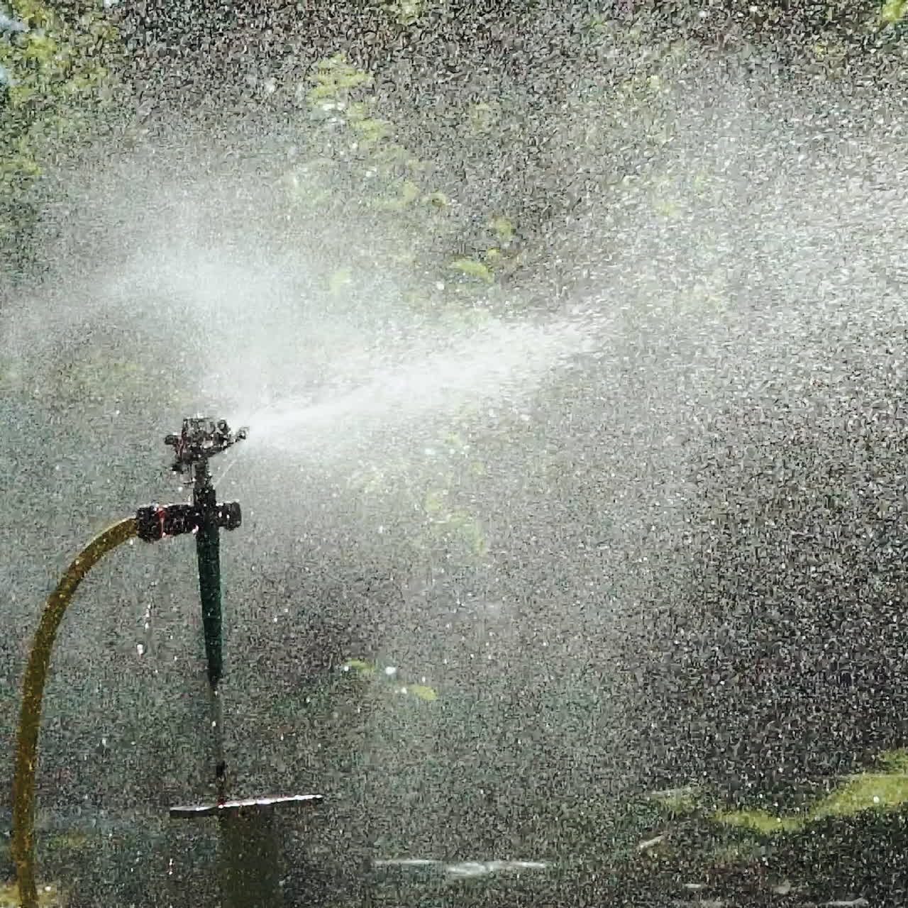 Automatic sprinkler system watering the lawn, close-up. Garden grass irrigation.