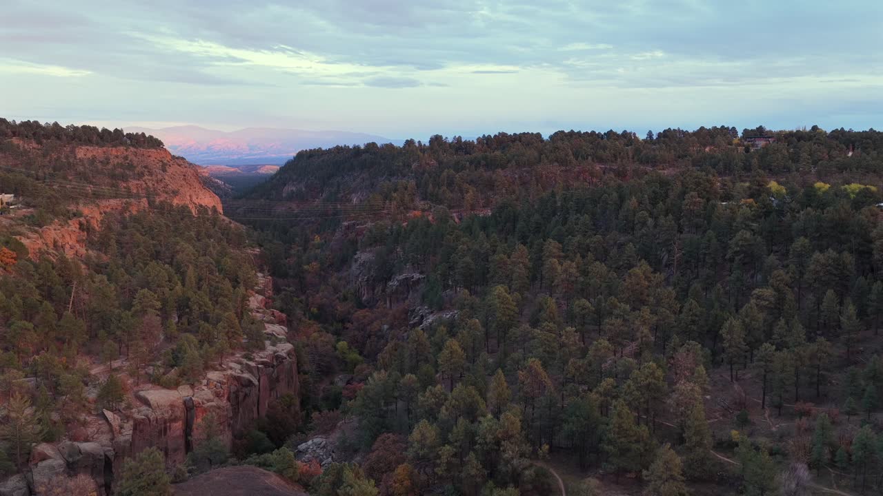 Gentle ascent above the lone pine transitions into an expansive view of the canyon walls and deep forest, revealing layered cliffs, textured terrain, and soft morning light across the valley
