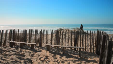 shot of random person sitting on atlantic dune along seaside with waves crashing on a sunny day