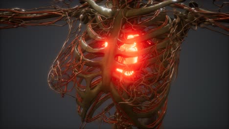 CG-Animation-Of-A-Sick-Human-Heart