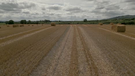 disparo de drones volando sobre un campo de trigo recién cosechado