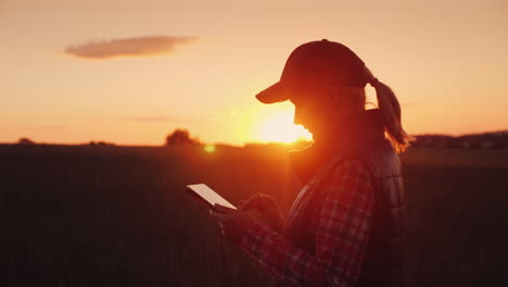 young woman farmer working with tablet in field at sunset the owner of a small business concept 4k v