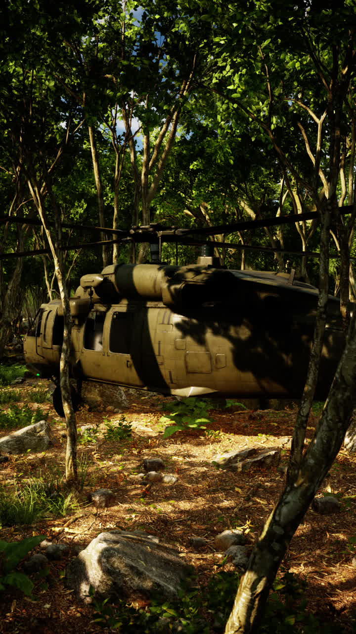 군용 헬리터가 숲에 앉아 있다