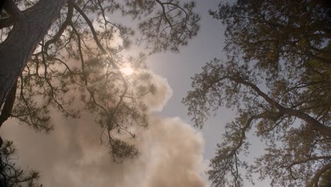 five mile swamp fire in santa rosa county from may 2020