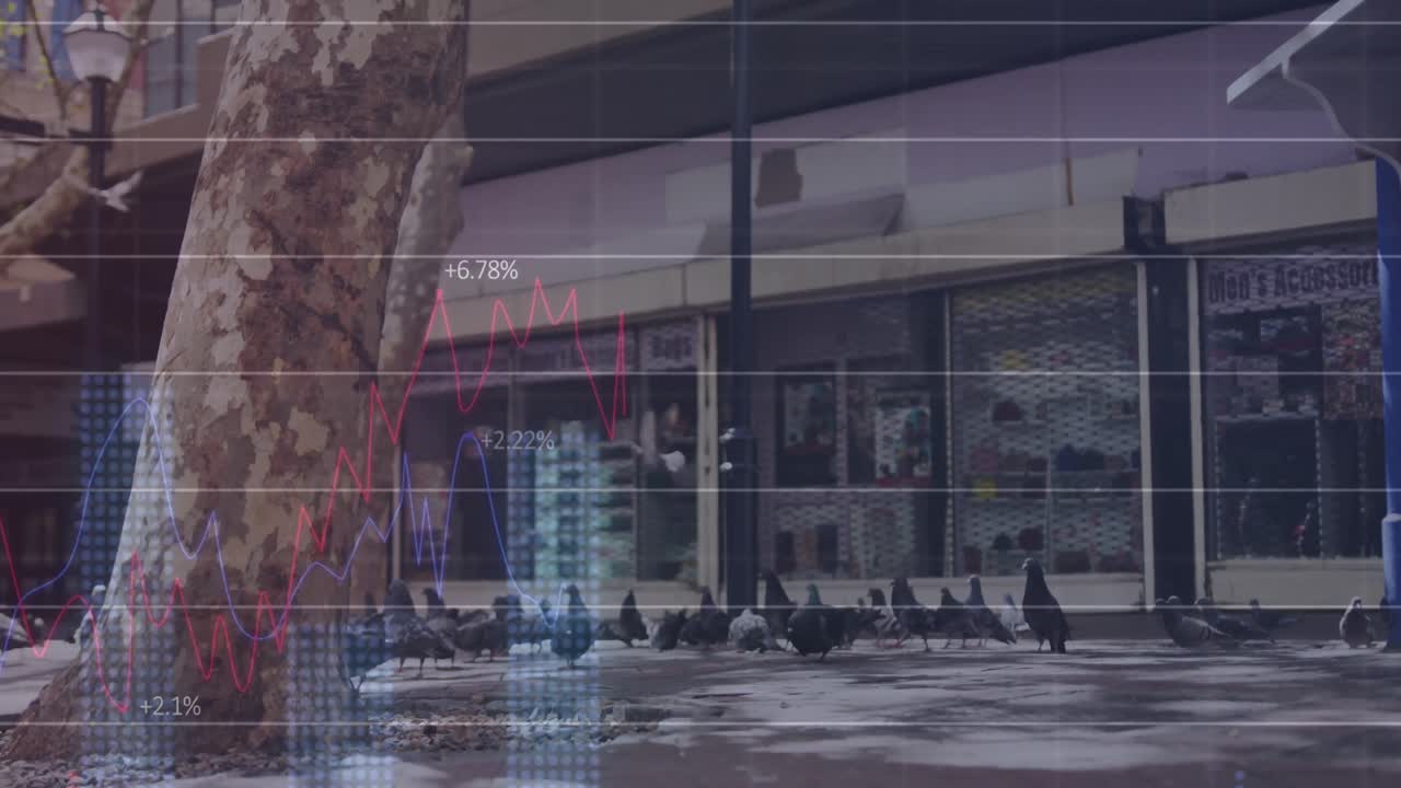 거리의 비둘기 위에서 금융 데이터 처리의 애니메이션