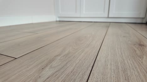 light brown laminate flooring in a room with white cabinets