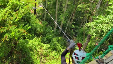 ziplining through lush forest