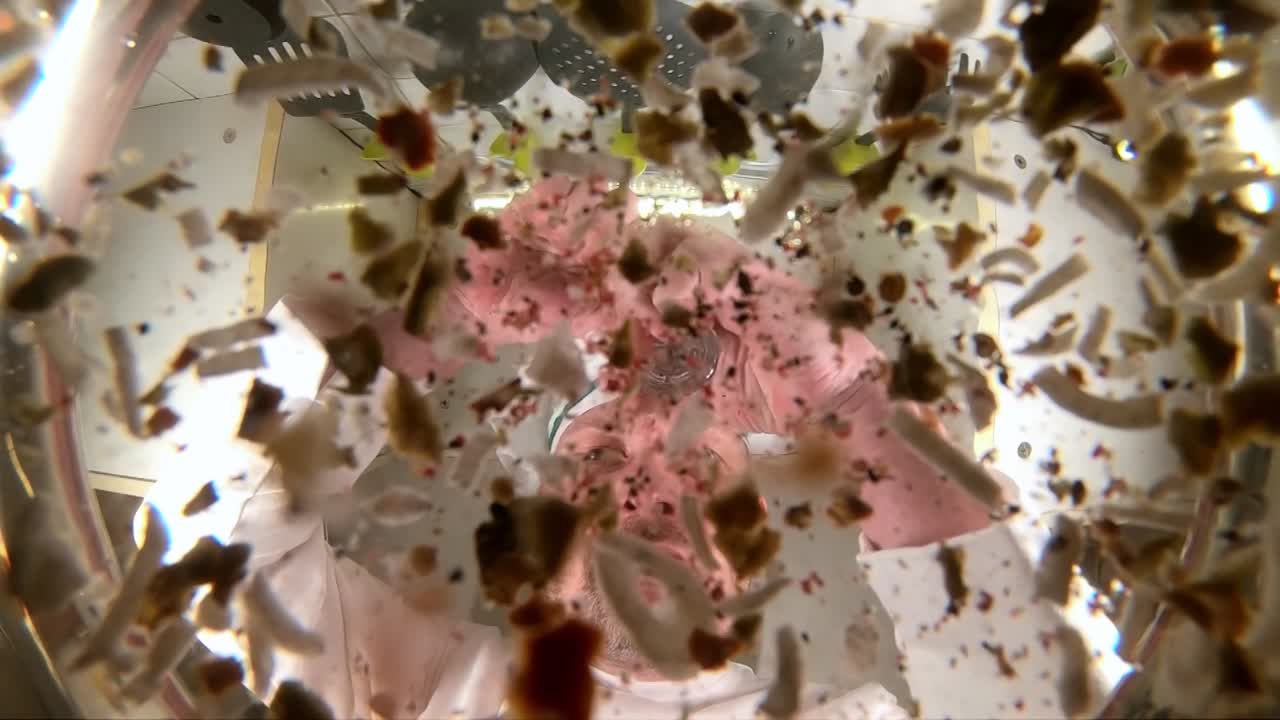 셰프는 채소 수프를 준비합니다. 셰프는 수프에 향신료를 첨가합니다. 팬에서 느린 영상으로 볼 수 있습니다.