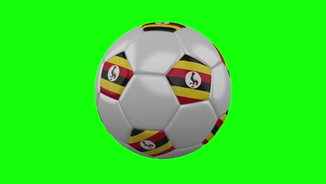pelota de fútbol con bandera de uganda en fondo de clave de croma verde, bucle