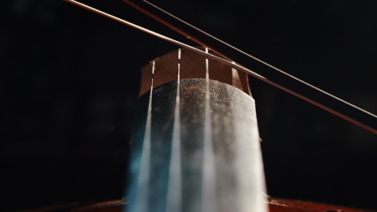 스로 모션 (slow motion) 은 음악에 대한 열정, 예술, 오케스트라, 음악에 대한 애정, 소리, 음악, 음악, 예술, 음악,