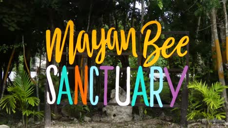 mayan bee sanctuary, cozumel, mexico