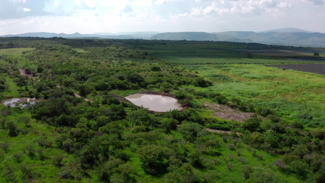 Drone aerial over lush scrubland with a small pond beside cultivated farmland, revealing a wide rural valley and distant hills under soft clouds