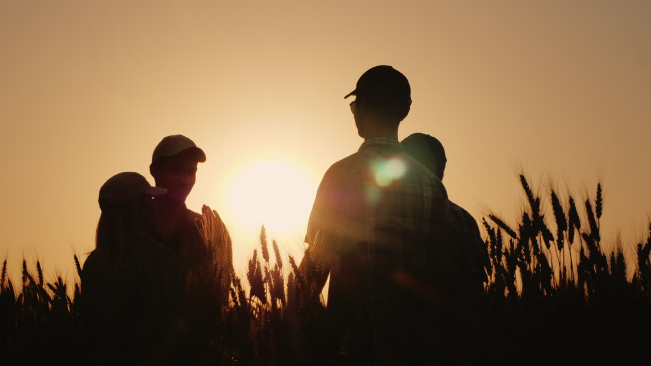 한 무리의 젊은 농부들이 농기업에서 성공을 거둔 밀 분야에서 최고점을 찍었습니다.