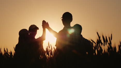 a group of young farmers makes the mark high five in a field of wheat success in agribusiness