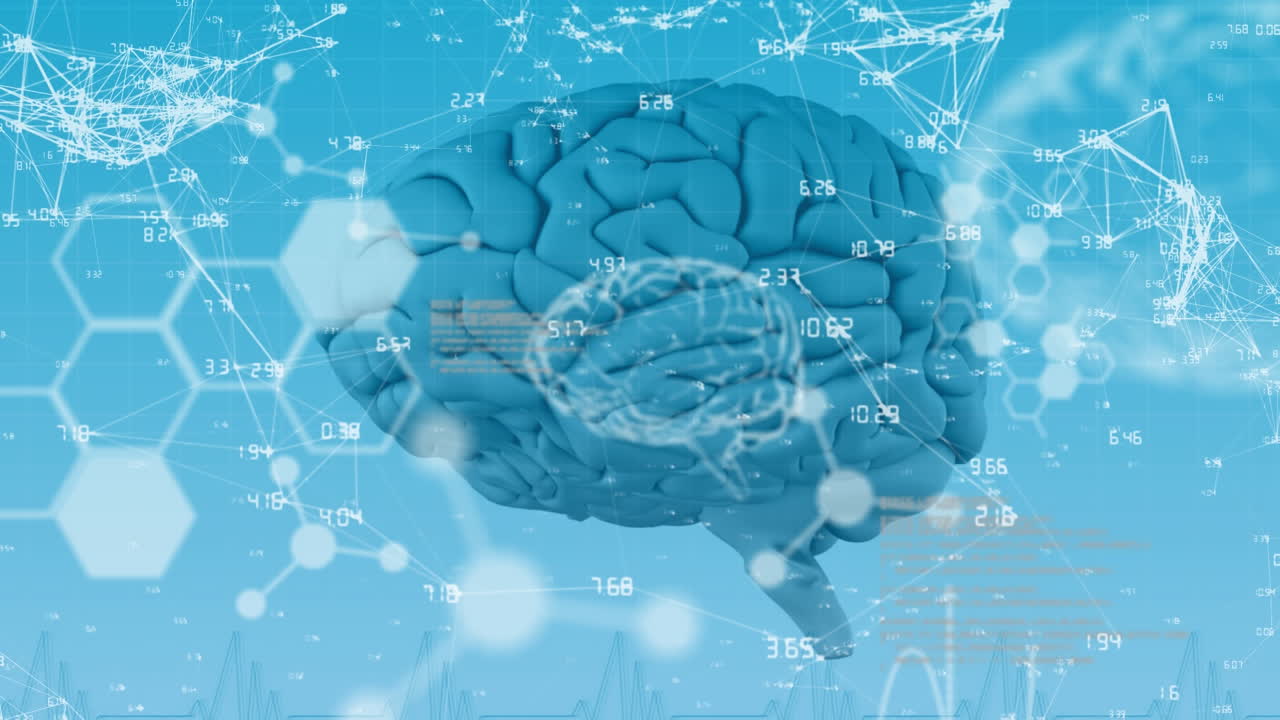 기술과 데이터 프로세싱으로 뇌의 애니메이션