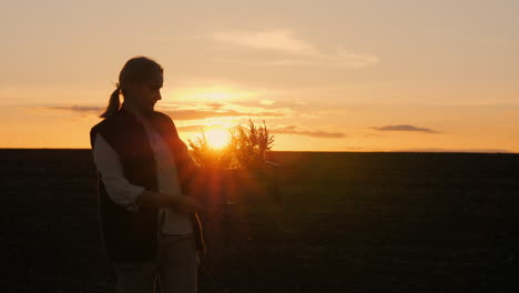 woman planting sapling in field during sunset