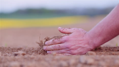 Landwirt,-Der-Organischen-Boden-In-Den-Händen-Untersucht-Landwirt,-Der-Schmutz-Im-Landwirtschaftsfeld-Berührt-5