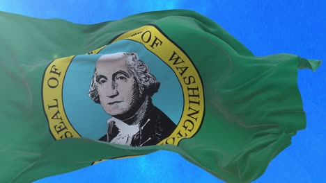 washington state flag.