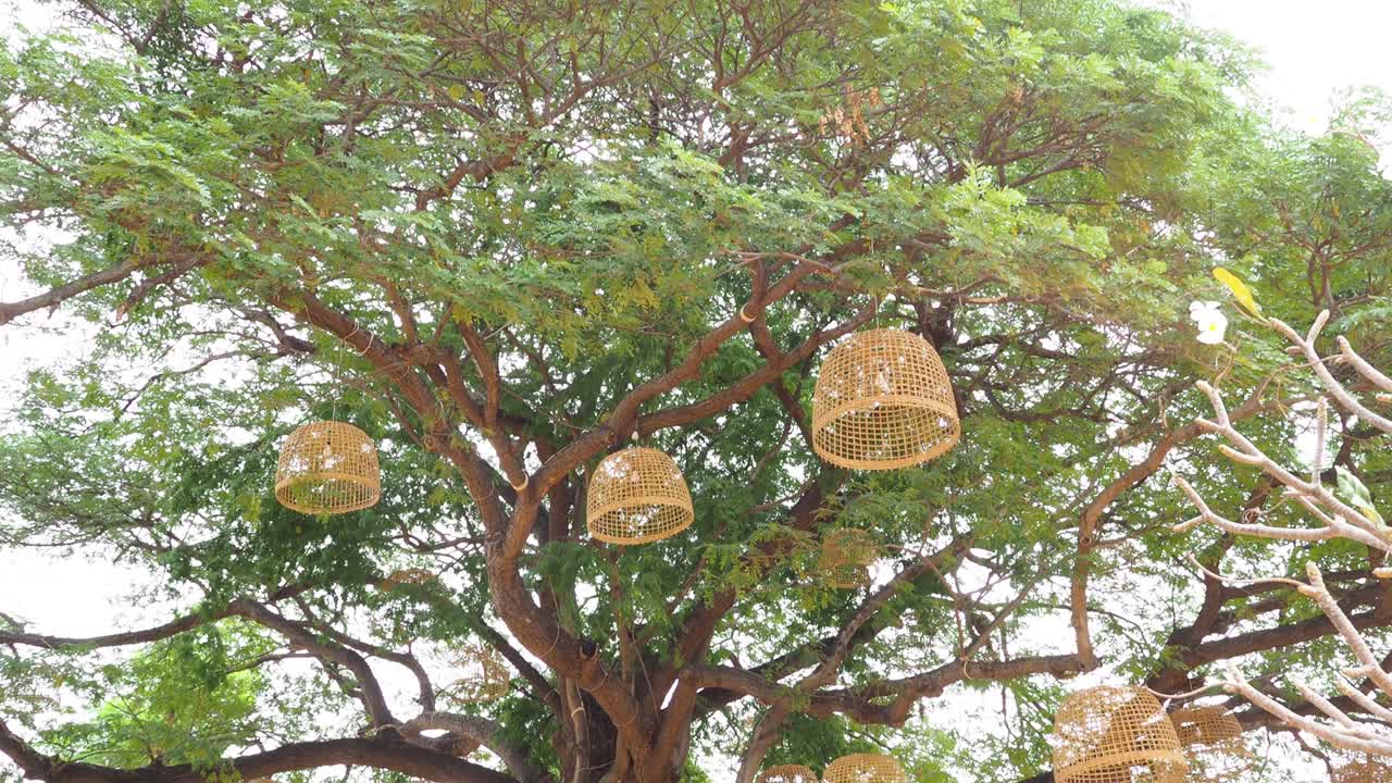 나무 에 부드럽게 흔들리는 장식적 인 등불