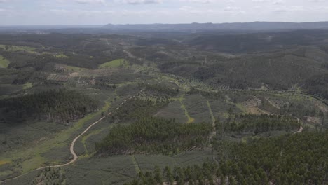 Aerial-view-of-Proença-a-Nova-landscape