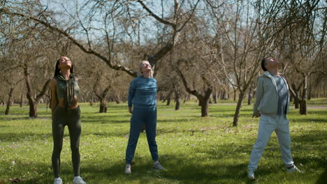 Gente-Estirándose-En-El-Bosque