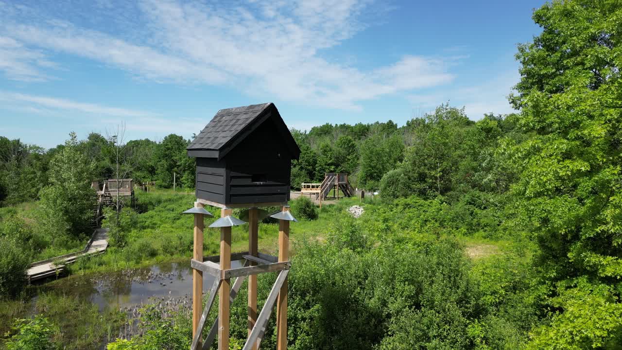 Rifugio materno elevato per la conservazione dei pipistrelli nella foresta durante una giornata estiva.