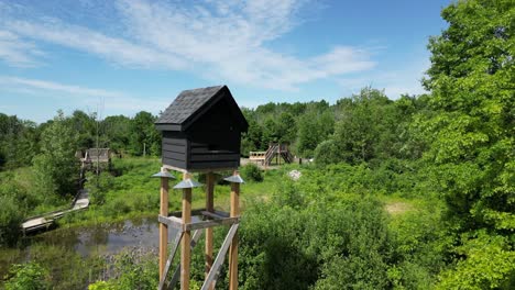 Dormidero-De-Maternidad-Elevado-De-Conservación-De-Murciélagos-En-El-Bosque-Durante-El-Día-De-Verano