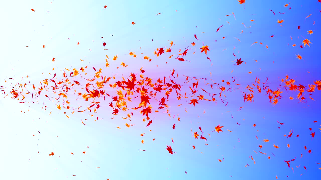 다채로운 메이플과 잎에서 나온 소용돌이, 가을 잎의 나선형 반이는 입자, 춤추는 잎, 다채로운 자연 터널 루프 애니메이션.