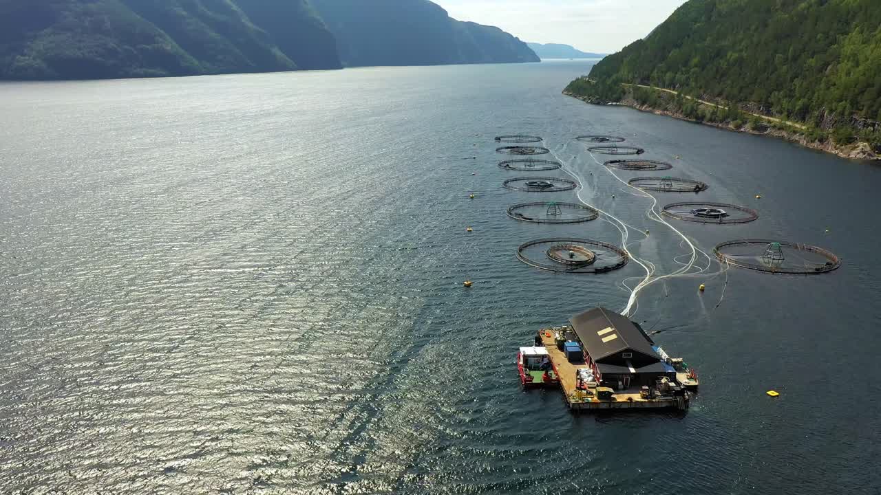 노르웨이에서 연어  ⁇ 시를 하는 공중 촬영